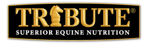 Tribute Superior Equine Nutrition black and gold brand logo. 
